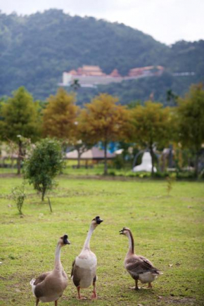 Meihua Lake Leisure Farm